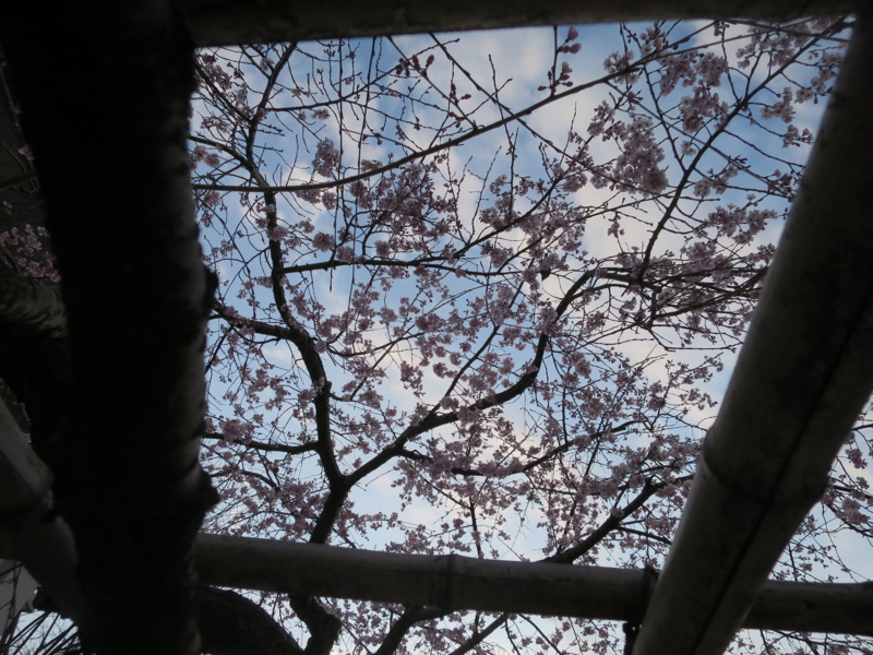 f:id:cmizuna:20160512224639j:image