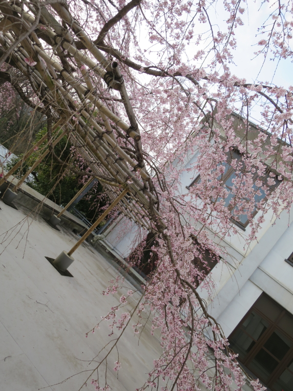 f:id:cmizuna:20160512224640j:image