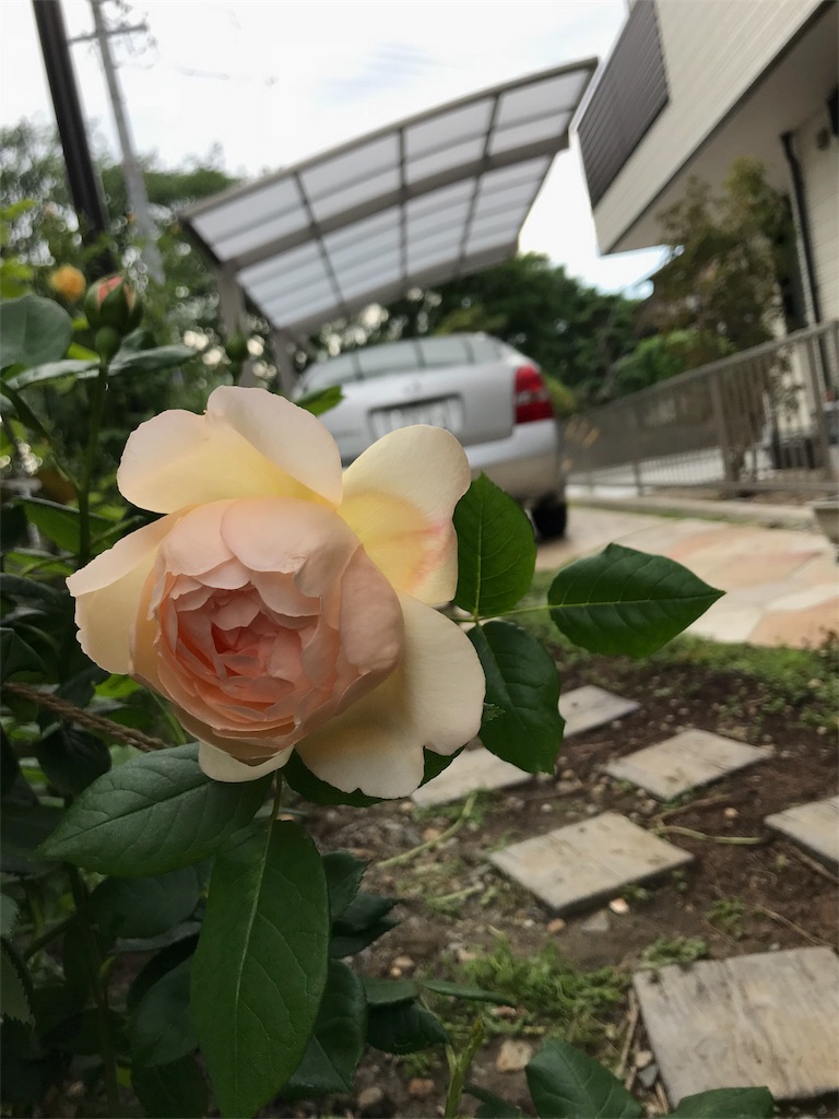 f:id:cmx60064:20180504113026j:image