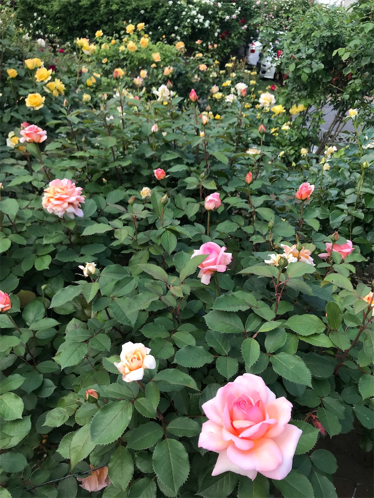 f:id:cmx60064:20180504114355j:image