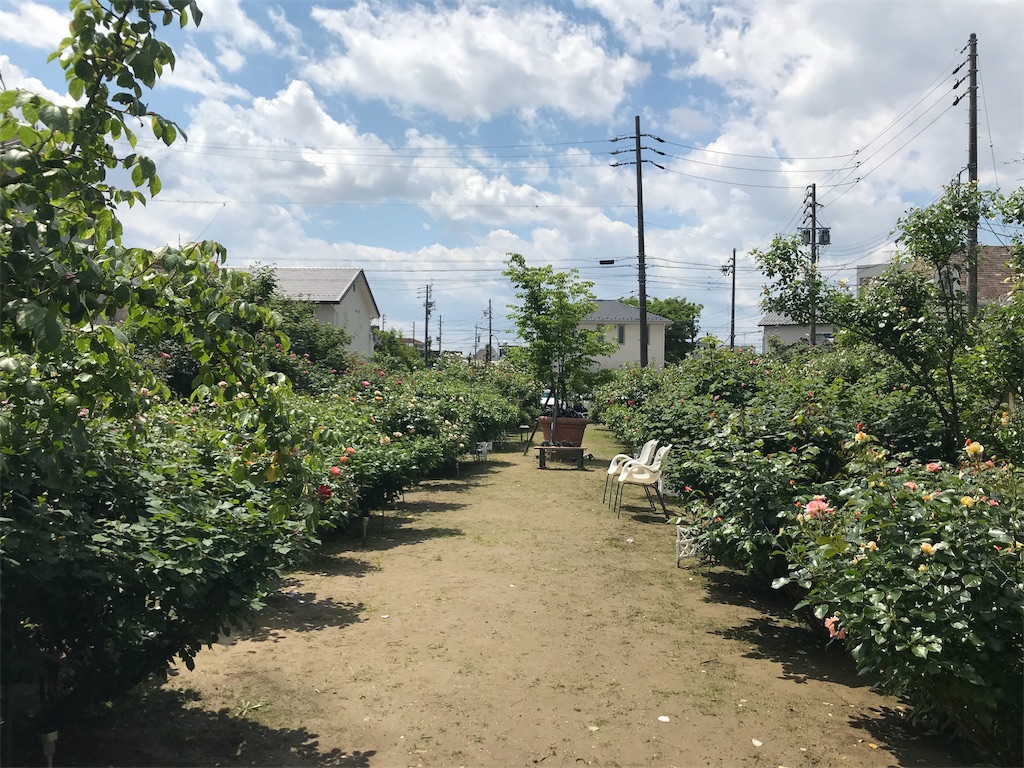 f:id:cmx60064:20180504114945j:image