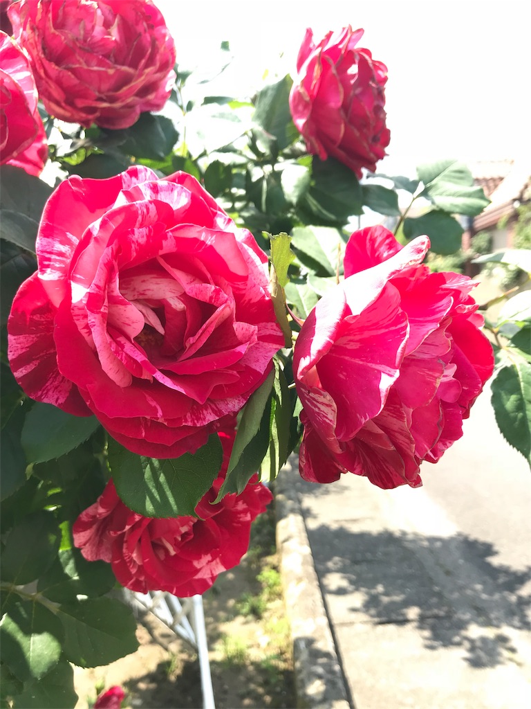f:id:cmx60064:20180504115032j:image