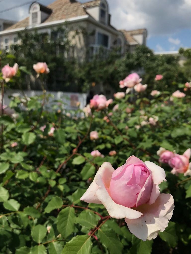 f:id:cmx60064:20180504115111j:image