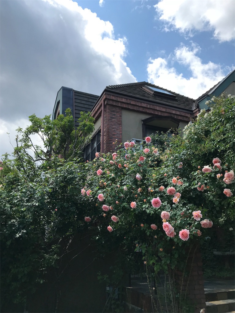f:id:cmx60064:20180504115151j:image