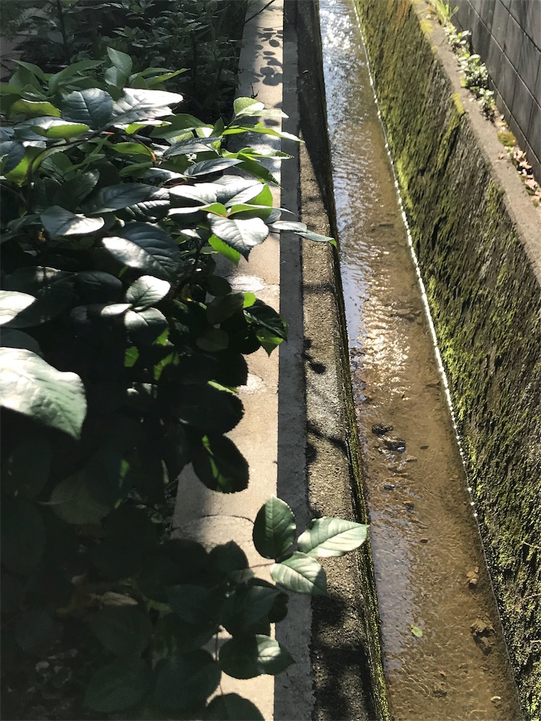 f:id:cmx60064:20180505160853j:image
