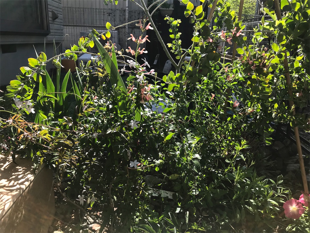 f:id:cmx60064:20180505163932j:image