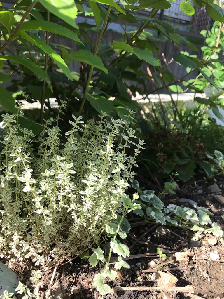 f:id:cmx60064:20180505164128j:image