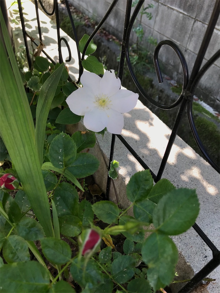 f:id:cmx60064:20180505164346j:image