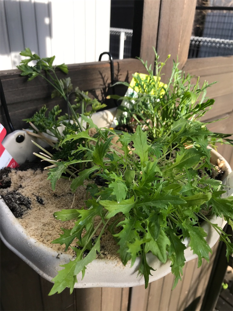 f:id:cmx60064:20180505165109j:image