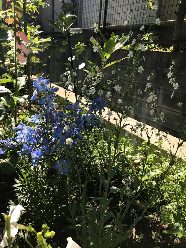f:id:cmx60064:20180505171815j:image