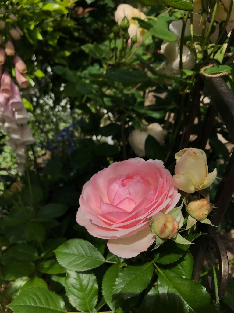 f:id:cmx60064:20180512163426j:image