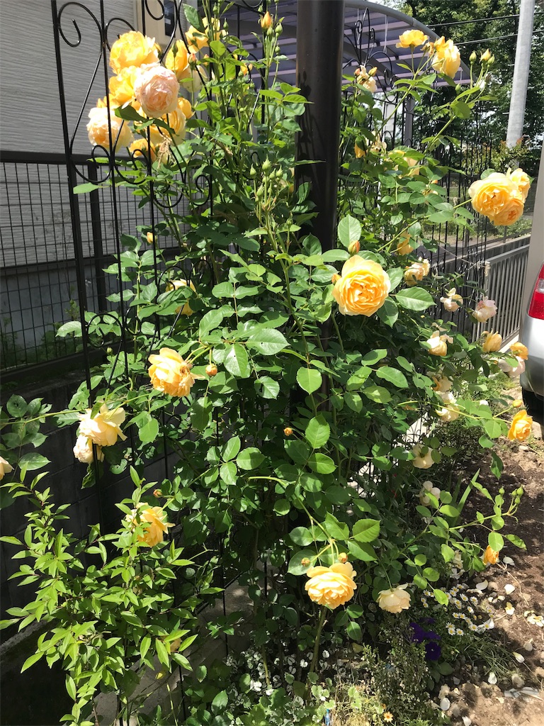 f:id:cmx60064:20180513084044j:image
