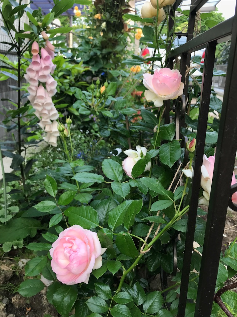 f:id:cmx60064:20180518085425j:image