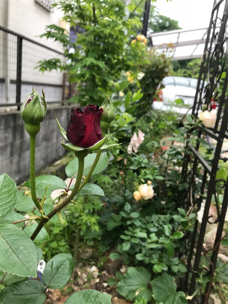 f:id:cmx60064:20180526123727j:image