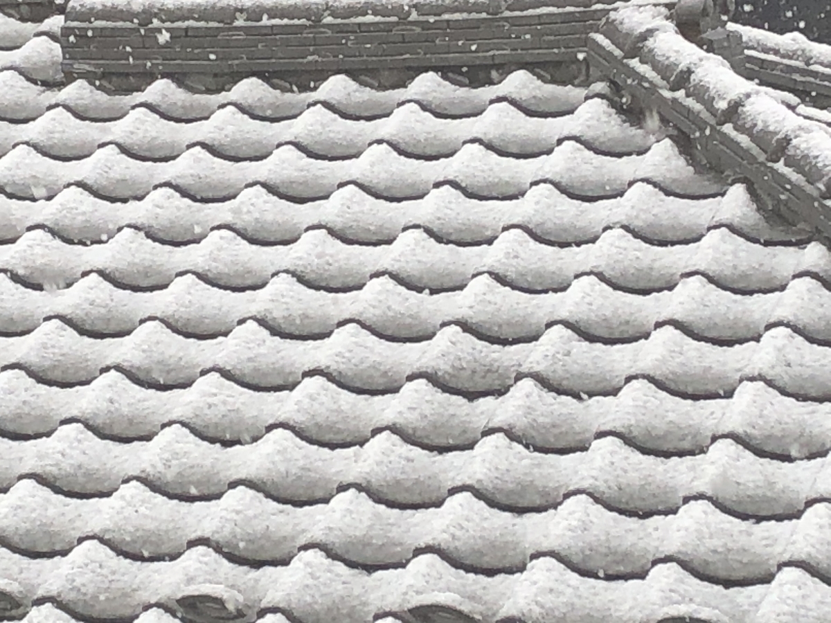 猫はこたつで丸くなる 人は新型コロナで縮こまる 猫と一緒 まったり部屋 猫はこたつで丸くなる 人は新型コロナで縮こまる 猫と一緒 まったり部屋