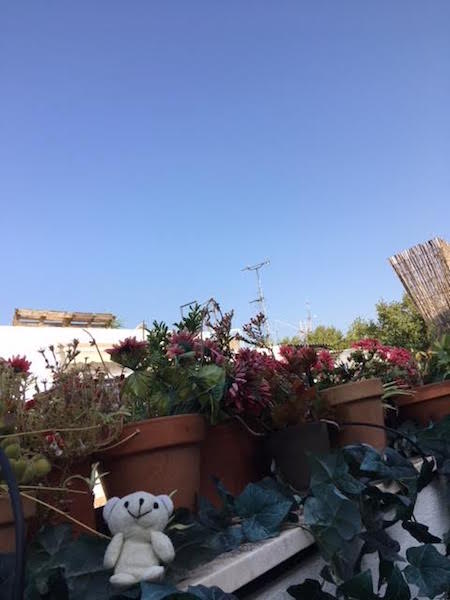 f:id:cnokichi:20181029210809j:plain f:id:cnokichi:20181029210809j:plain