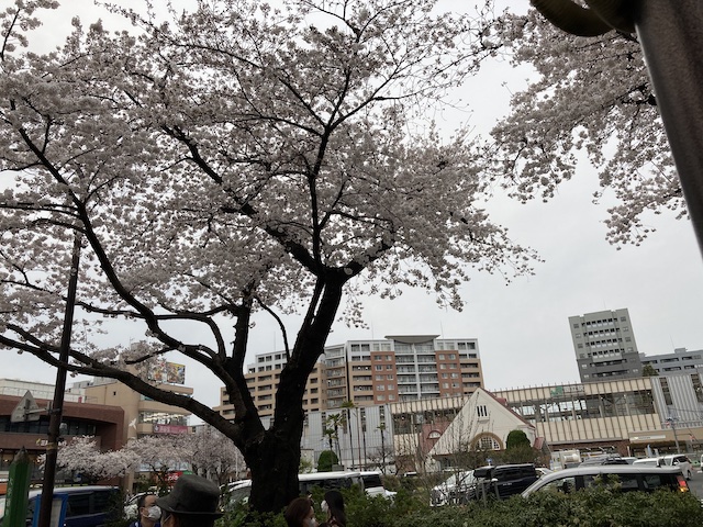 f:id:cnokichi:20210407230705j:plain