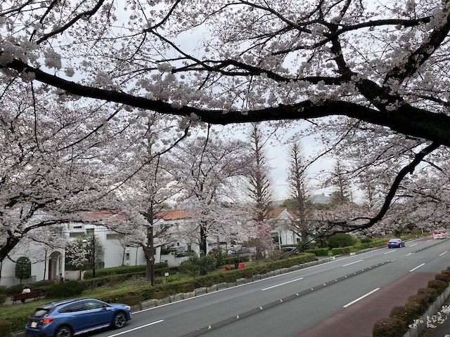f:id:cnokichi:20210407230918j:plain