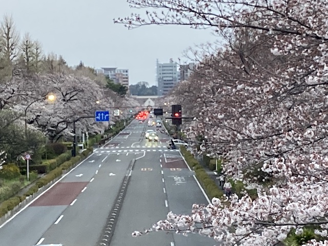 f:id:cnokichi:20210407230938j:plain