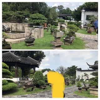 f:id:cnonoc_hana:20200719180113j:plain f:id:cnonoc_hana:20200719180113j:plain