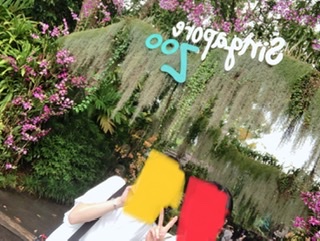 f:id:cnonoc_hana:20200719180603j:plain