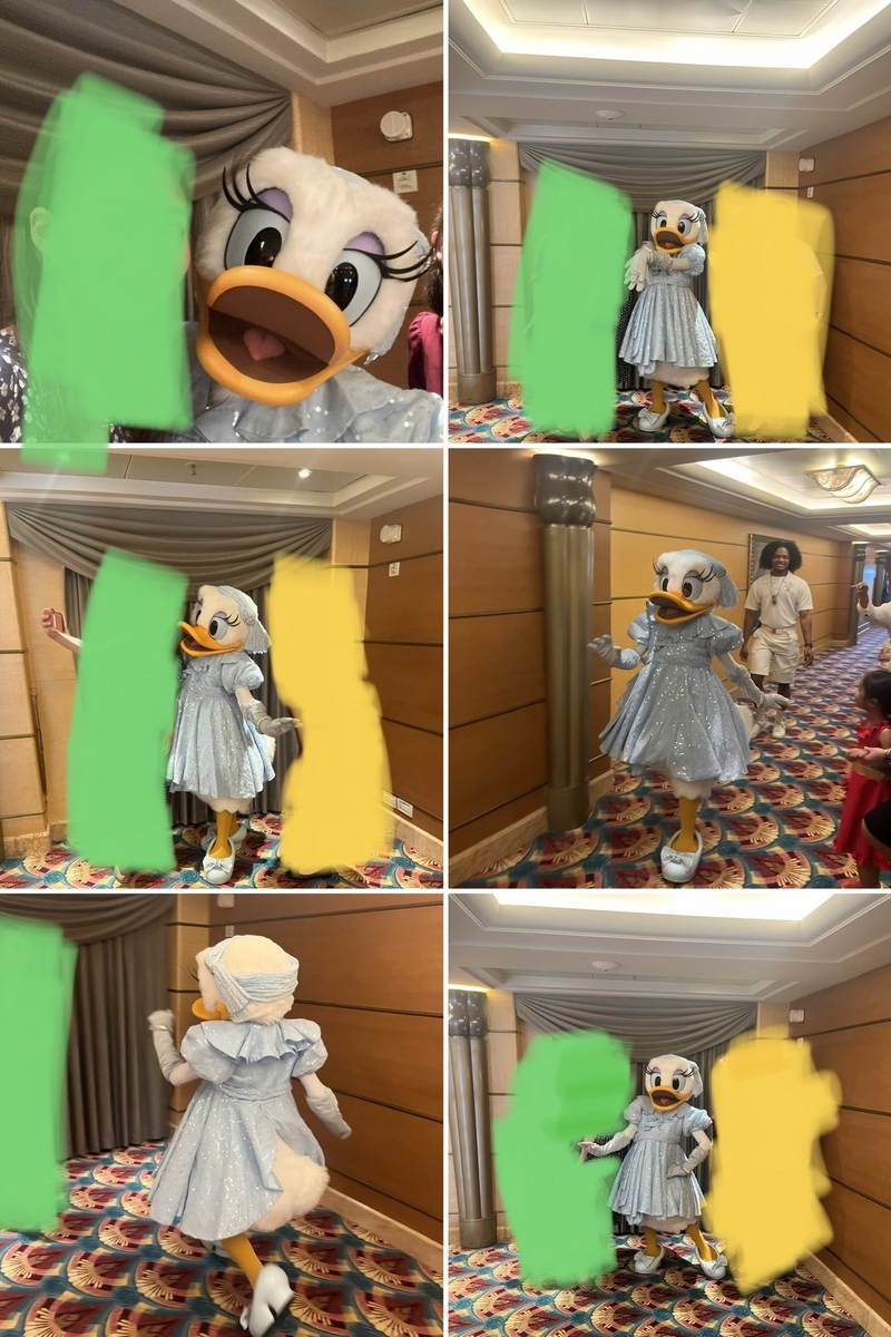 カリフォルニアディズニー＆バジャクルーズ 