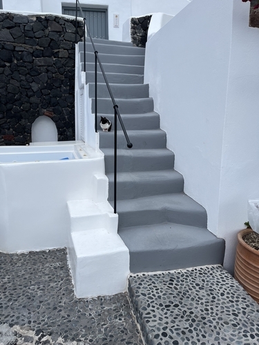 階段と猫