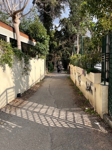 アテネ国立公園