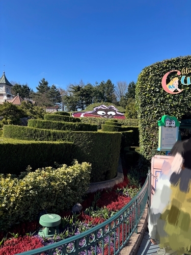 Alice`s Cutious Labyrinth