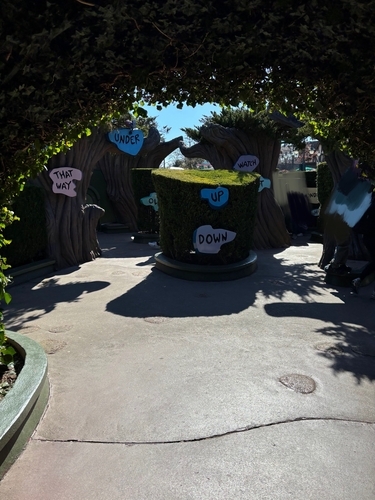 Alice`s Cutious Labyrinth