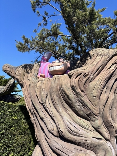 Alice`s Curious Labyrinth