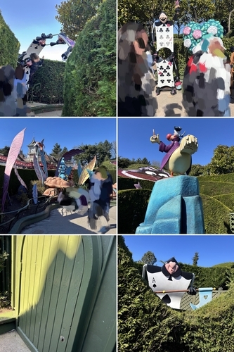 Alice`s Curious Labyrinth