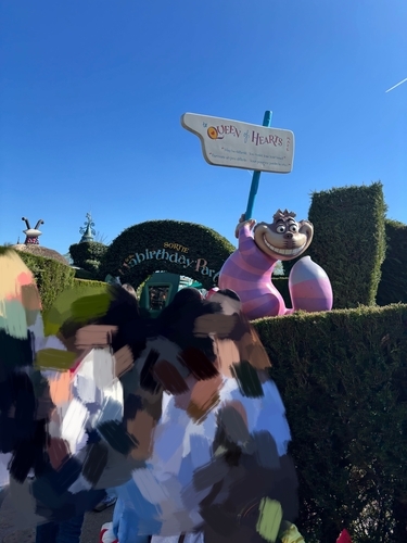 Alice`s Curious Labyrinth