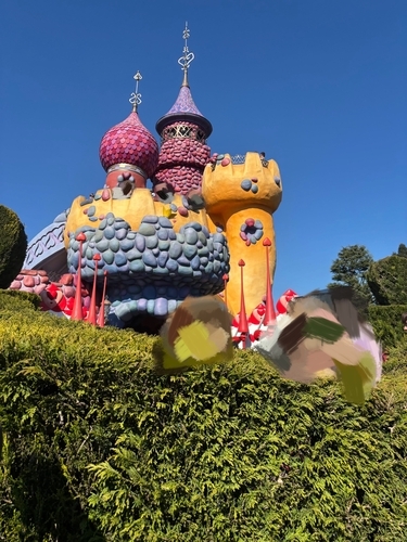 Alice`s Curious Labyrinth