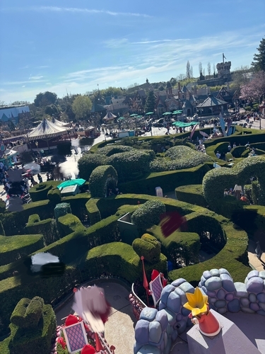 Alice`s Curious Labyrinth