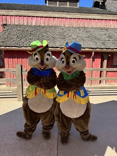 Meet Chip and Dale