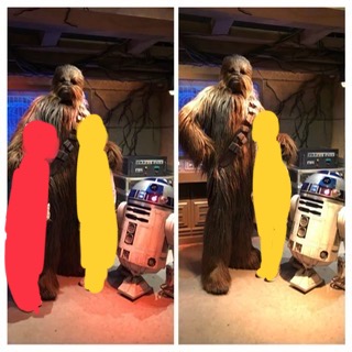 チューバッカ＆R2-D2