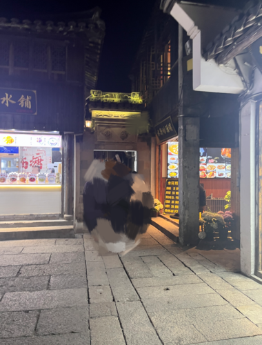 西塘