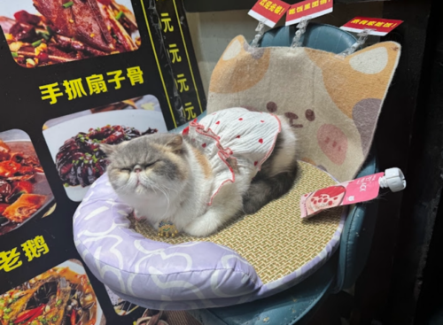 料理屋さんの前