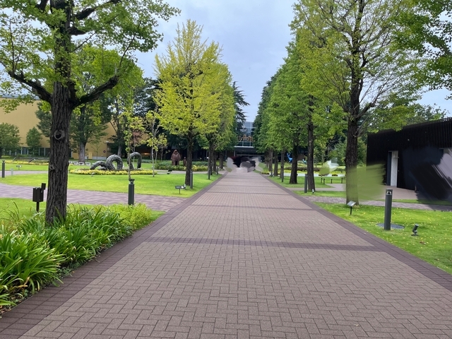 公園