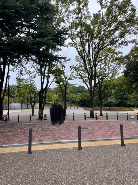 公園