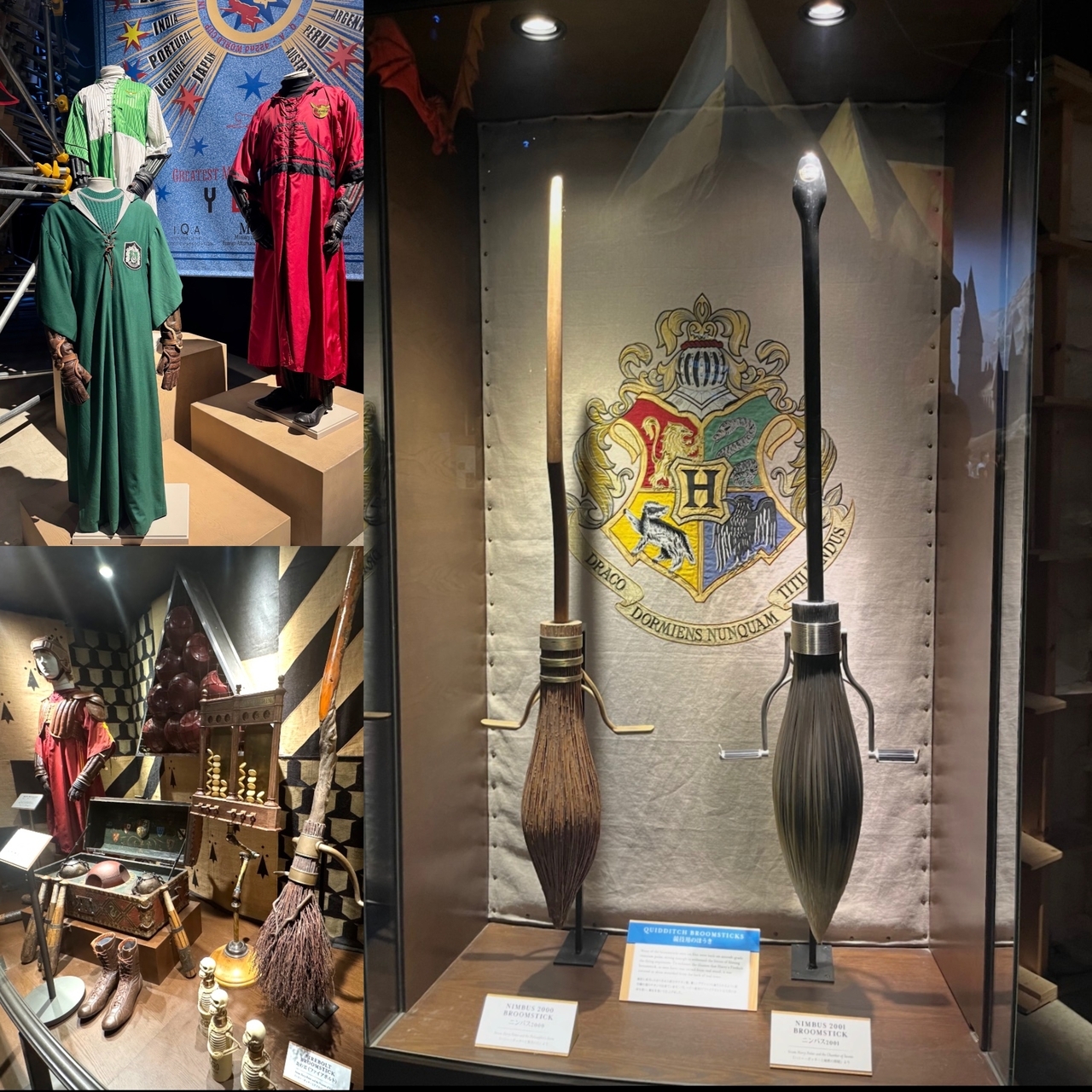 クィディッチ展示