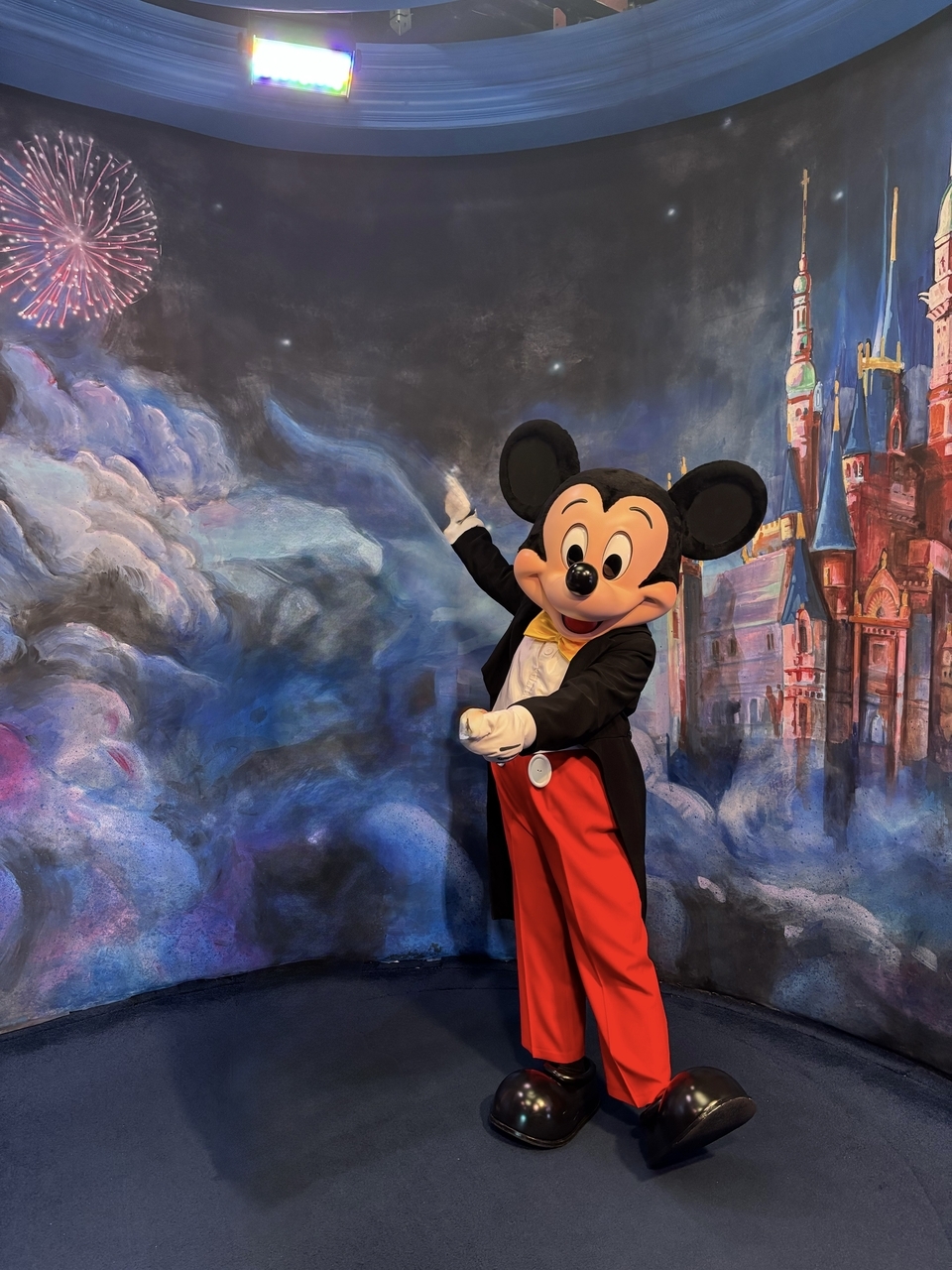 上海ディズニーをアーリーエントリーで満喫！日曜日の混雑状況と昼の