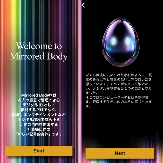 Mirroed Body