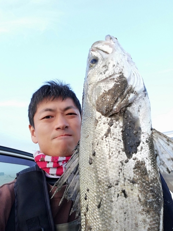 イメージ 5