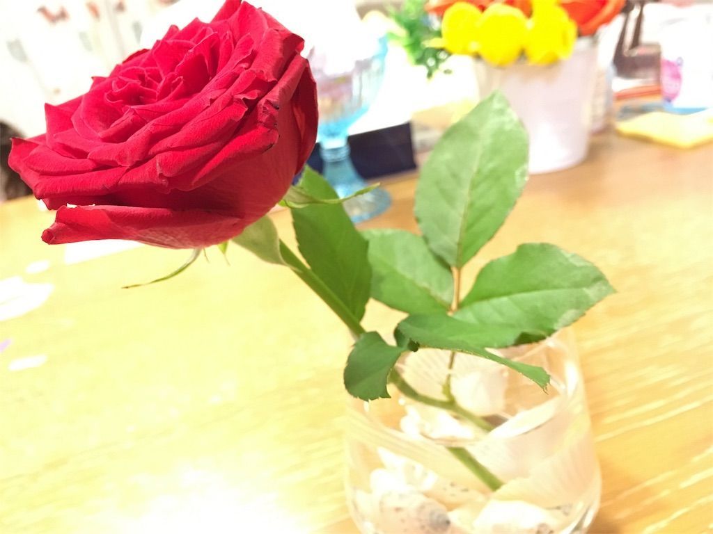 食卓に一輪の花を まるで美女と野獣 真っ赤なバラ こーちのあたま 食卓に一輪の花を まるで美女と野獣 真っ赤なバラ こーちのあたま