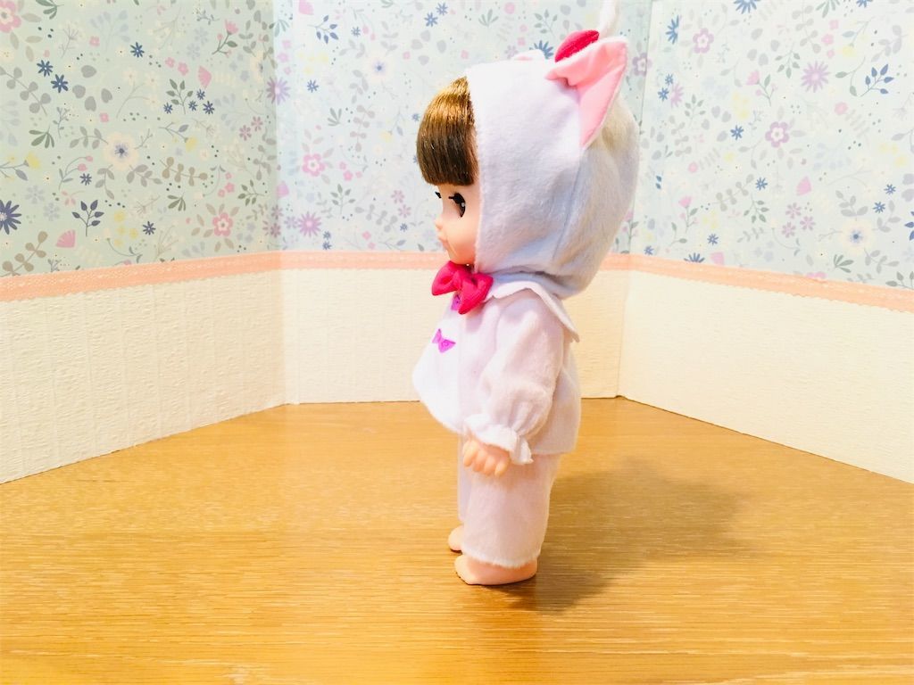 f:id:co-chi:20190116010902j:image