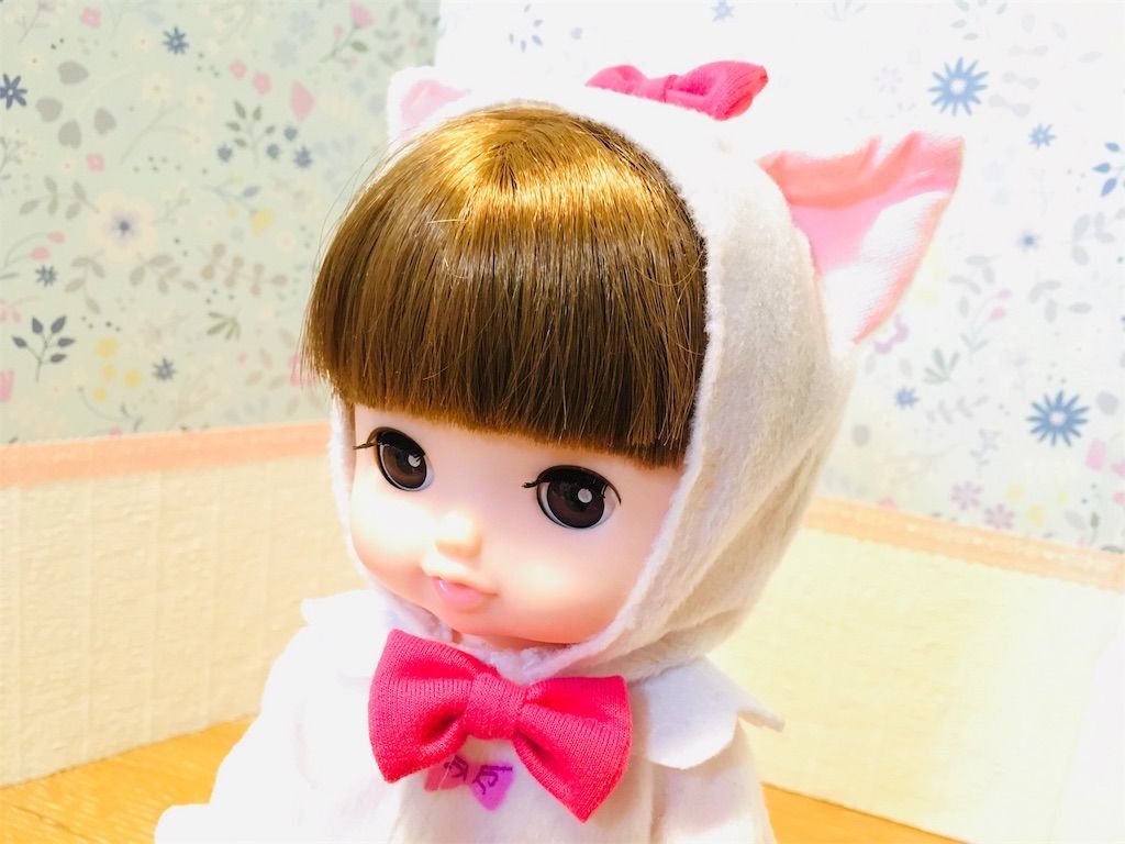 f:id:co-chi:20190116011947j:image