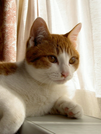 f:id:co-machi:20040103102806j:image