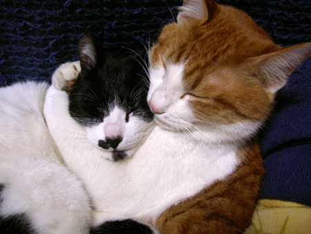 f:id:co-machi:20040308212725j:image